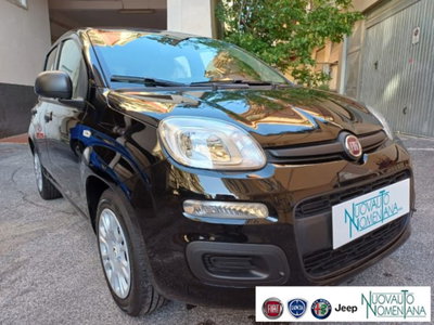 Fiat Panda 1.0 firefly hybrid s&s 70cv 5p.ti (5)