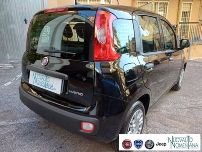 Fiat Panda 1.0 firefly hybrid s&s 70cv 5p.ti (6)