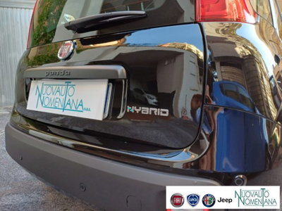 Fiat Panda 1.0 firefly hybrid s&s 70cv 5p.ti (7)