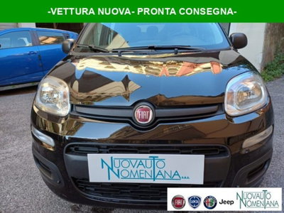 Fiat Panda 1.0 firefly hybrid s&s 70cv 5p.ti nuova