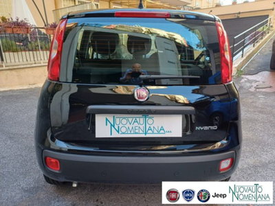 Fiat Panda 1.0 firefly hybrid s&s 70cv 5p.ti (8)