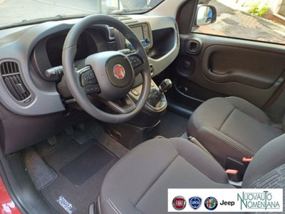 Fiat Panda 1.0 firefly hybrid s&s 70cv 5p.ti (10)