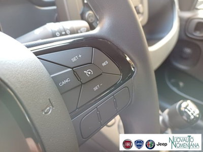 Fiat Panda 1.0 firefly hybrid s&s 70cv 5p.ti (14)