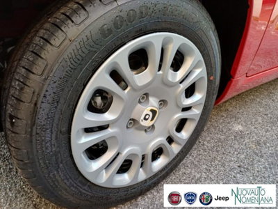 Fiat Panda 1.0 firefly hybrid s&s 70cv 5p.ti (4)