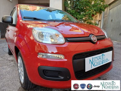Fiat Panda 1.0 firefly hybrid s&s 70cv 5p.ti (5)