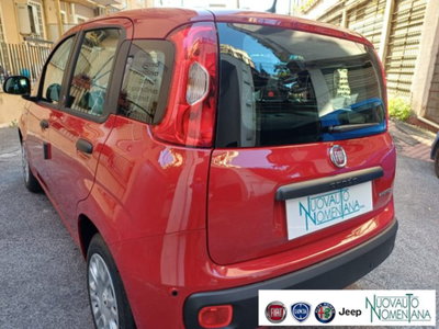 Fiat Panda 1.0 firefly hybrid s&s 70cv 5p.ti (9)