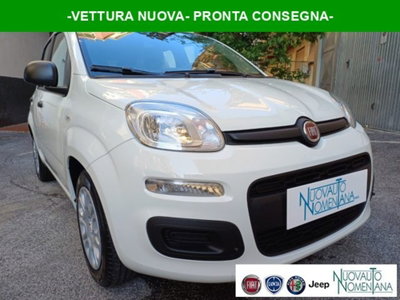 Fiat Panda 1.0 firefly hybrid s&s 70cv 5p.ti nuova