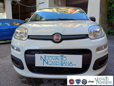 Fiat Panda 1.0 firefly hybrid s&s 70cv 5p.ti (5)