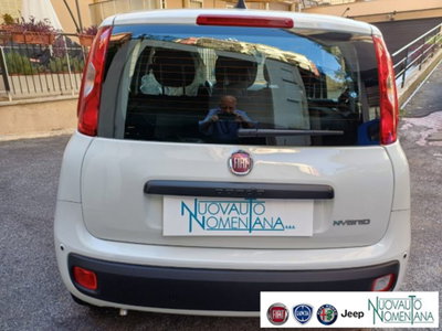 Fiat Panda 1.0 firefly hybrid s&s 70cv 5p.ti (8)