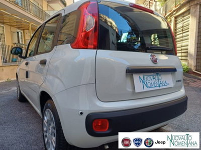 Fiat Panda 1.0 firefly hybrid s&s 70cv 5p.ti (9)