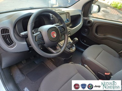 Fiat Panda 1.0 firefly hybrid s&s 70cv 5p.ti (10)