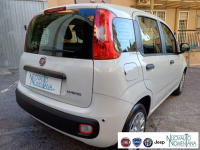 Fiat Panda 1.0 firefly hybrid s&s 70cv 5p.ti (6)