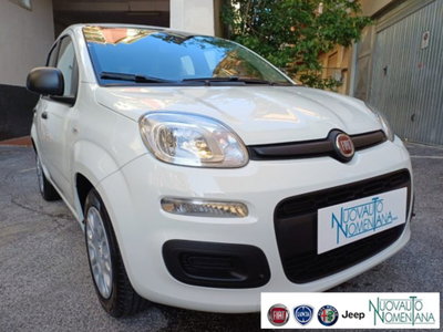 Fiat Panda 1.0 firefly hybrid s&s 70cv 5p.ti (5)