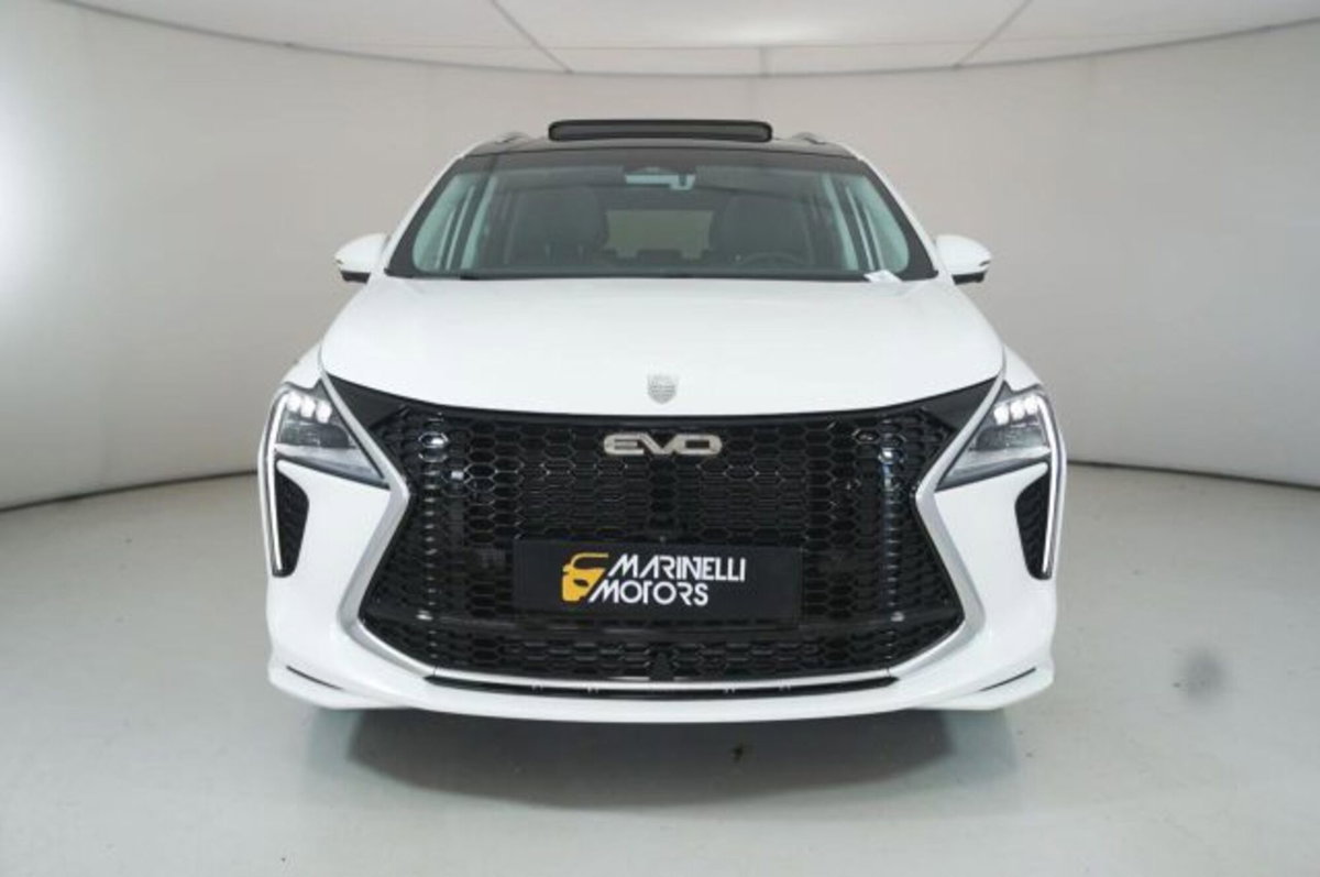 Evo Evo Spazio 1.5 turbo Gpl 167cv dct (3)