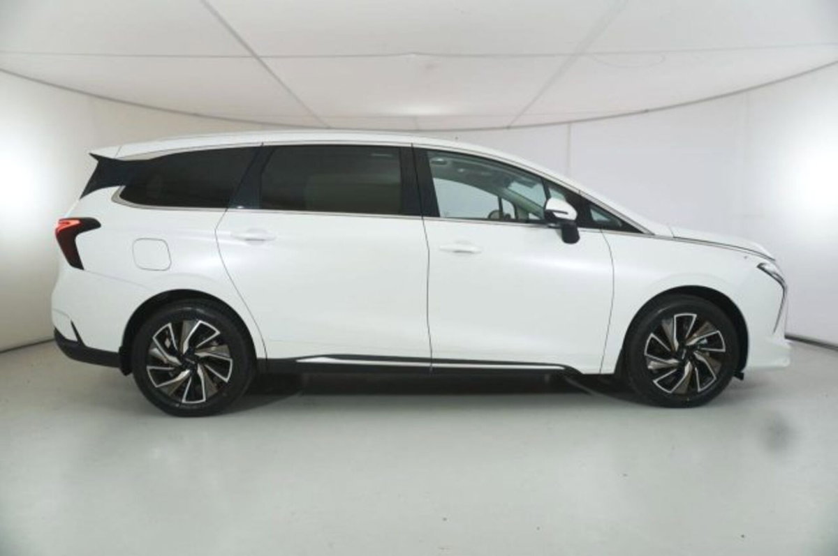 Evo Evo Spazio 1.5 turbo Gpl 167cv dct (4)