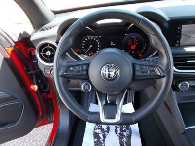Alfa Romeo Stelvio Stelvio 2.2 Turbodiesel 160 CV AT8 RWD Super Business (13)