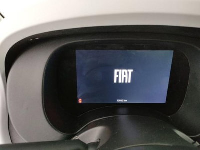 Fiat Panda Cross 1.0 firefly hybrid Cross s&s 70cv 5p.ti (19)