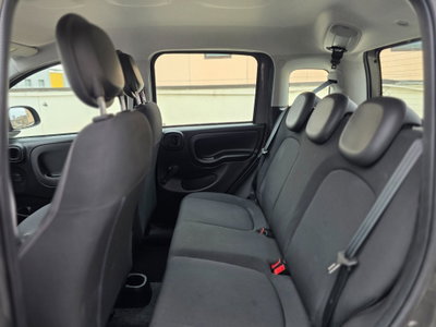 Fiat Panda Cross Cross 1.0 FireFly S&S Hybrid (10)
