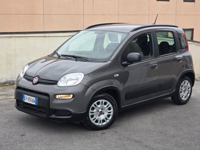 Fiat Panda Cross Cross 1.0 FireFly S&S Hybrid (2)