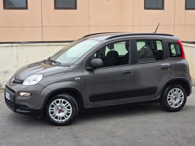 Fiat Panda Cross Cross 1.0 FireFly S&S Hybrid (3)