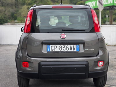 Fiat Panda Cross Cross 1.0 FireFly S&S Hybrid (5)