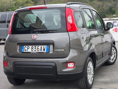 Fiat Panda Cross Cross 1.0 FireFly S&S Hybrid (6)