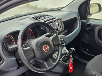 Fiat Panda Cross Cross 1.0 FireFly S&S Hybrid (8)