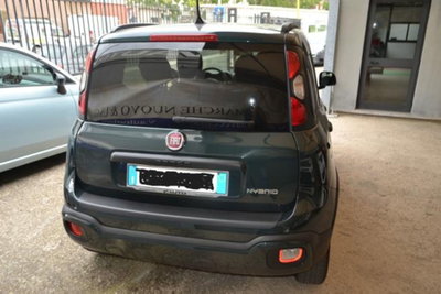 Fiat Panda Cross 1.0 firefly hybrid Cross s&s 70cv 5p.ti (5)