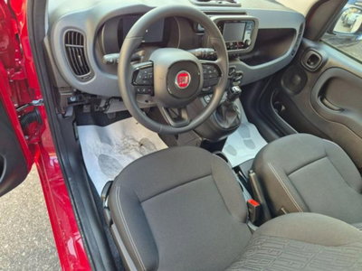 Fiat Pandina 1.0 firefly hybrid Icon s&s 65cv (10)