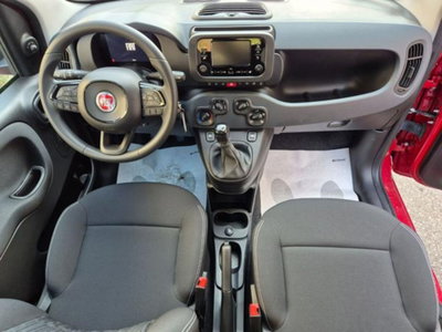 Fiat Pandina 1.0 firefly hybrid Icon s&s 65cv (13)