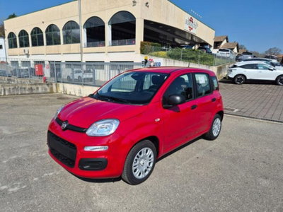 Fiat Pandina 1.0 firefly hybrid Icon s&s 65cv (2)