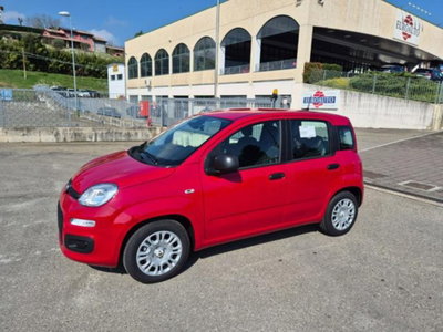 Fiat Pandina 1.0 firefly hybrid Icon s&s 65cv (3)