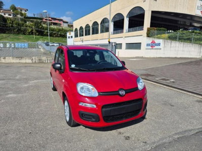 Fiat Pandina 1.0 firefly hybrid Icon s&s 65cv (4)