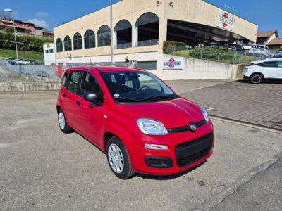 Fiat Pandina 1.0 firefly hybrid Icon s&s 65cv (5)