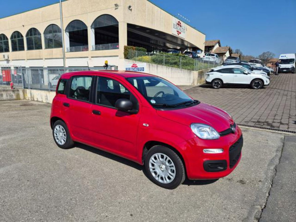 Fiat Pandina 1.0 firefly hybrid Icon s&s 65cv (6)