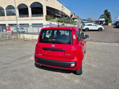 Fiat Pandina 1.0 firefly hybrid Icon s&s 65cv (7)
