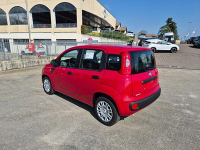 Fiat Pandina 1.0 firefly hybrid Icon s&s 65cv (8)