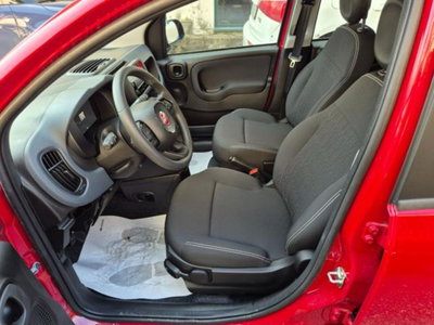 Fiat Pandina 1.0 firefly hybrid Icon s&s 65cv (9)