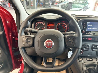 Fiat Panda Cross Cross 1.0 FireFly S&S Hybrid (10)