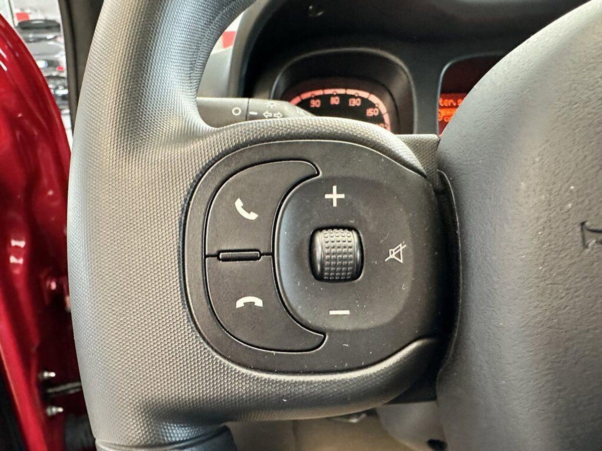 Fiat Panda Cross Cross 1.0 FireFly S&S Hybrid (11)