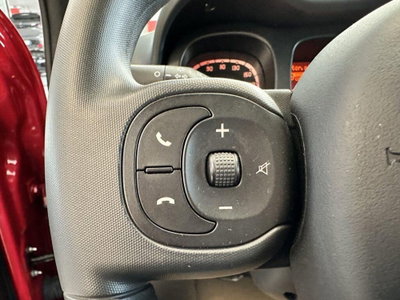 Fiat Panda Cross Cross 1.0 FireFly S&S Hybrid (11)