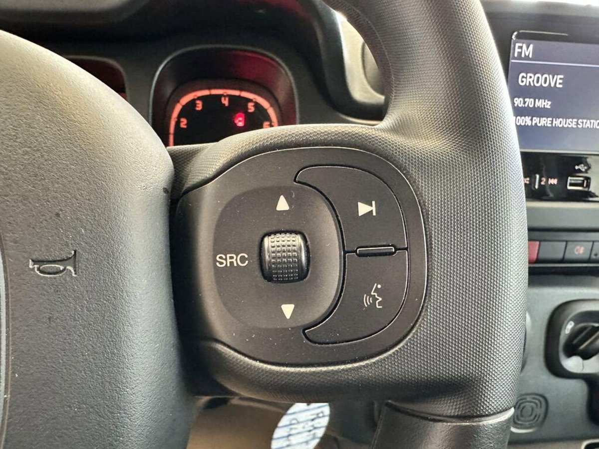 Fiat Panda Cross Cross 1.0 FireFly S&S Hybrid (12)