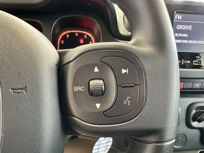 Fiat Panda Cross Cross 1.0 FireFly S&S Hybrid (12)