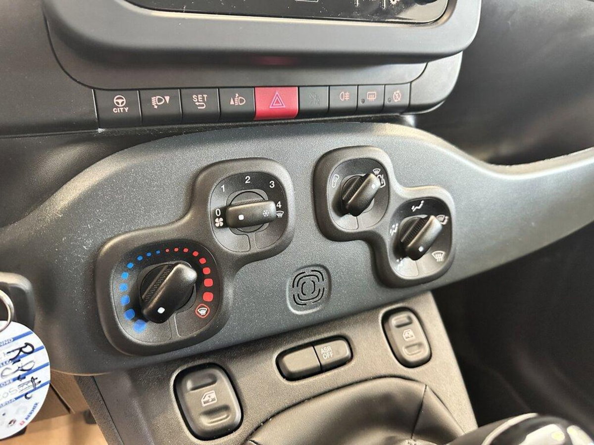 Fiat Panda Cross Cross 1.0 FireFly S&S Hybrid (15)