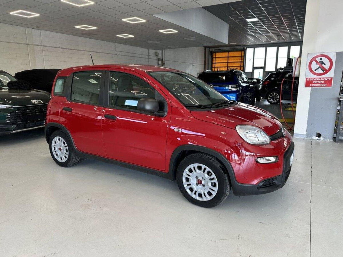 Fiat Panda Cross Cross 1.0 FireFly S&S Hybrid (2)