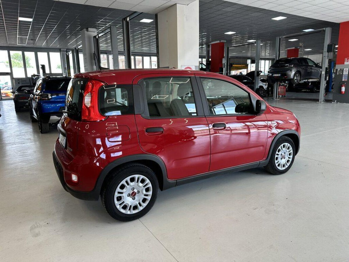 Fiat Panda Cross Cross 1.0 FireFly S&S Hybrid (3)