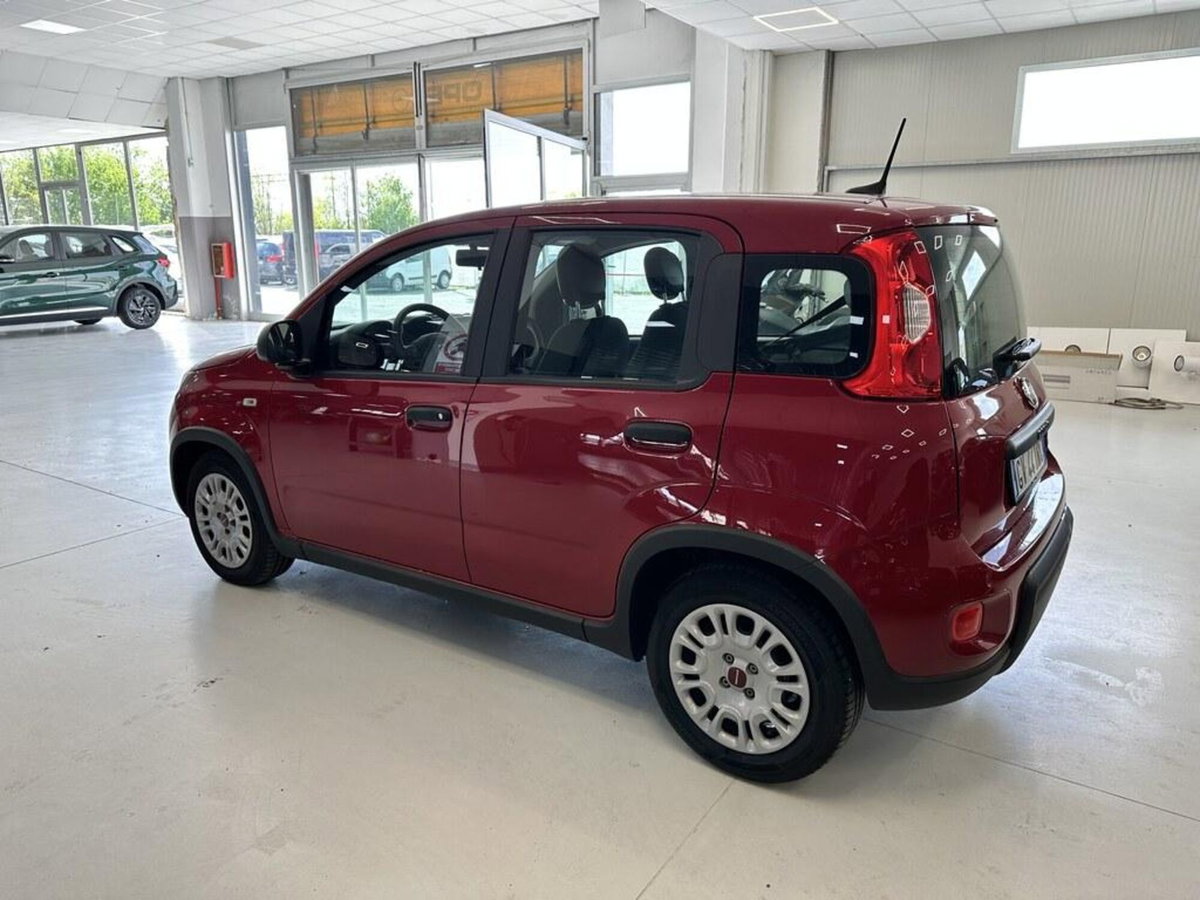 Fiat Panda Cross Cross 1.0 FireFly S&S Hybrid (4)