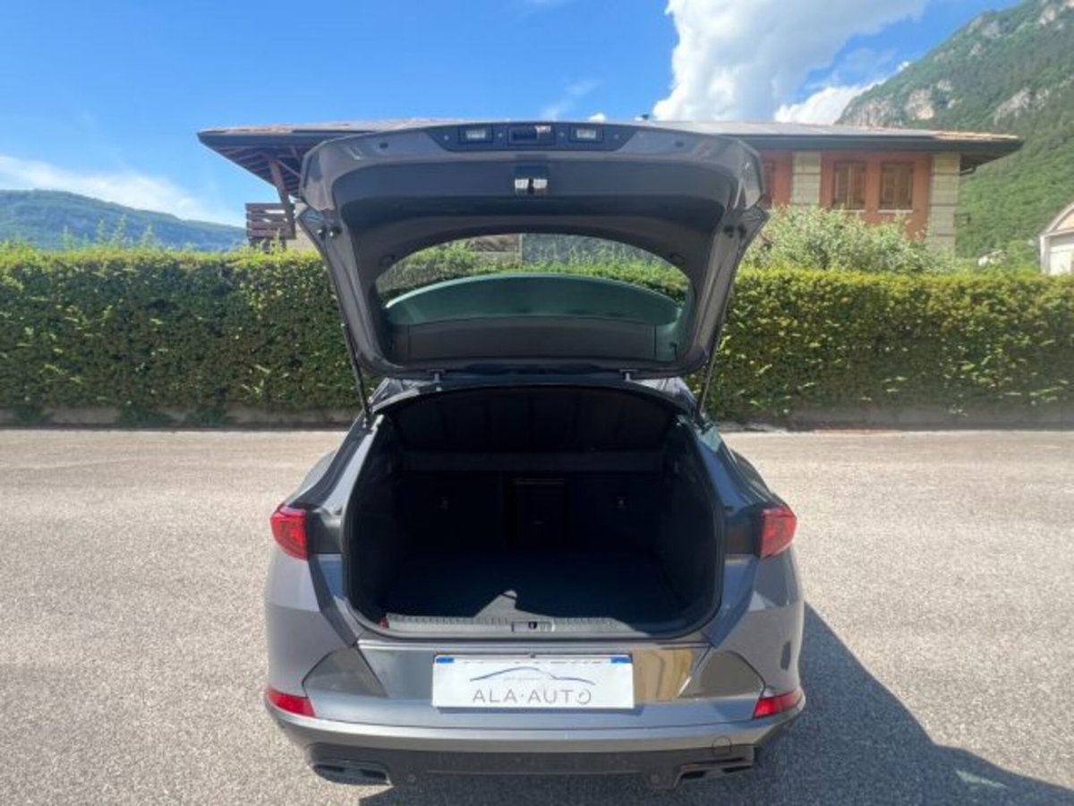 Cupra Formentor Formentor 2.0 tdi 4drive 150cv dsg (11)