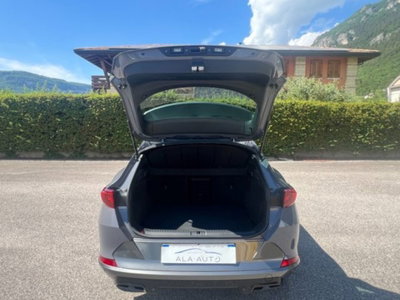 Cupra Formentor Formentor 2.0 tdi 4drive 150cv dsg (11)