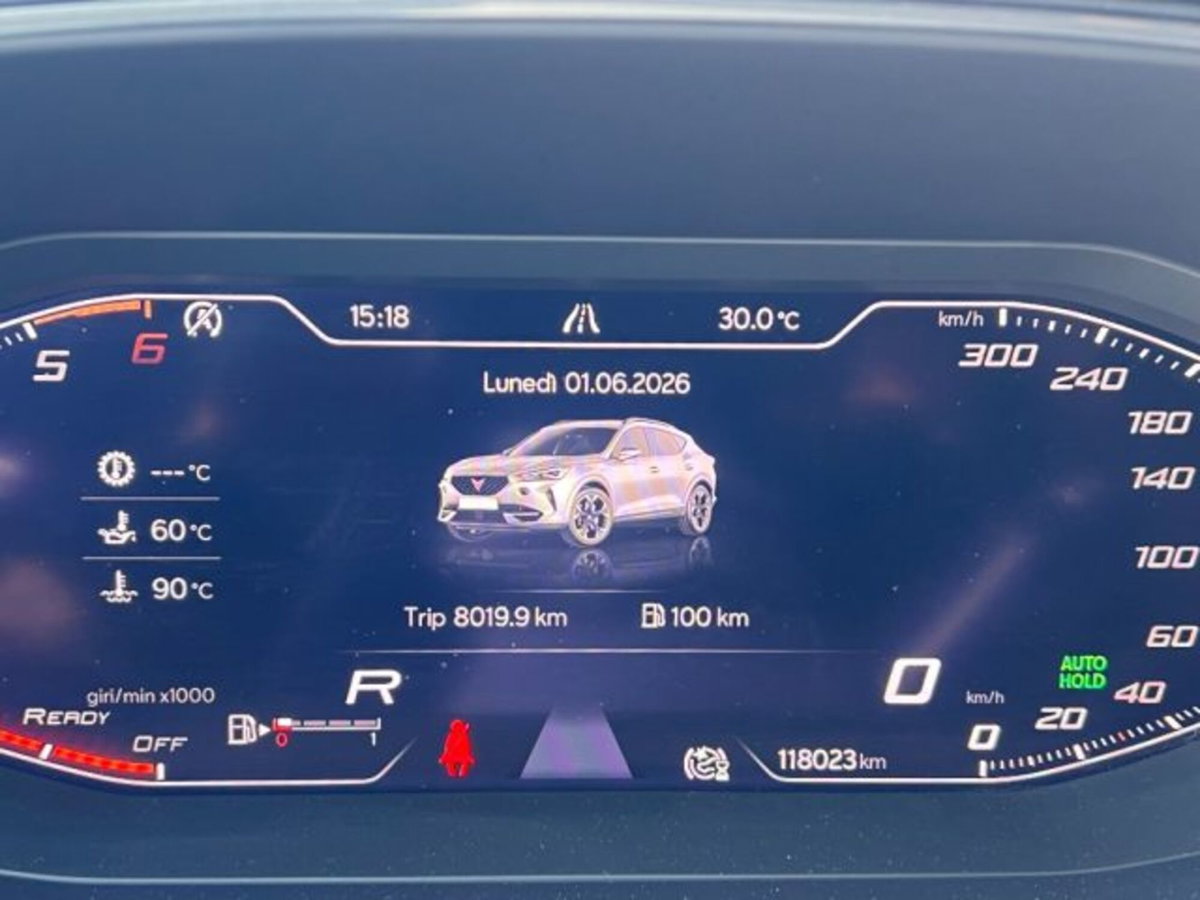 Cupra Formentor Formentor 2.0 tdi 4drive 150cv dsg (15)